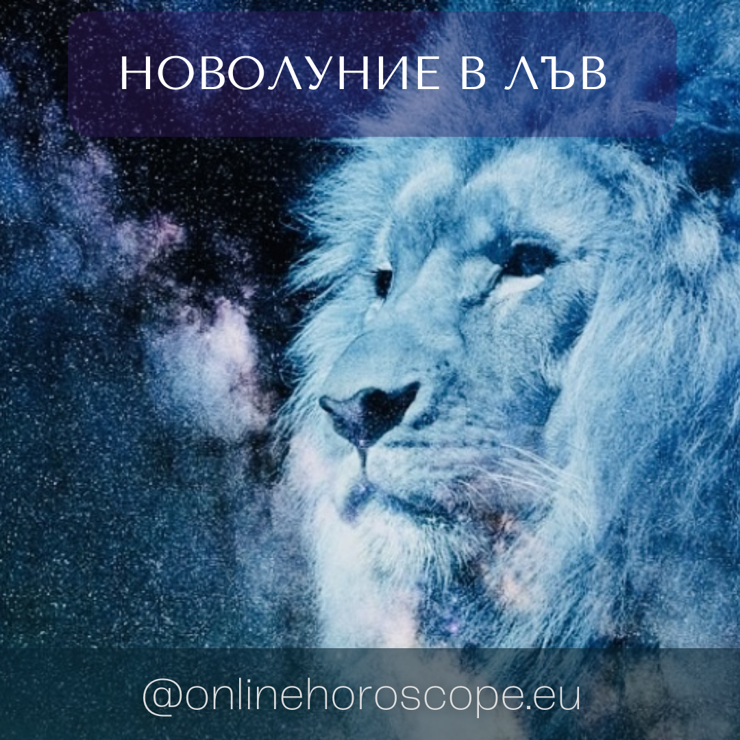 blog_img